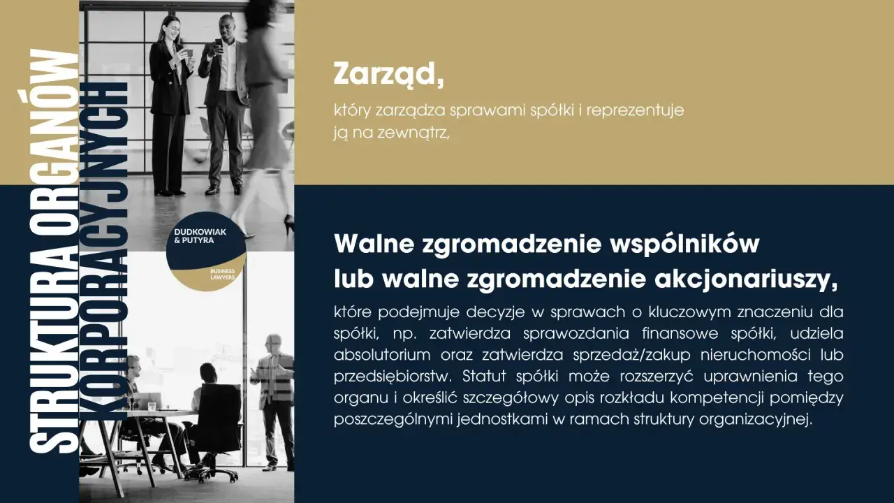 Struktura organów korporacyjnych: zarząd i walne zgromadzenie. Biznesmeni dyskutują, omawiając ład korporacyjny.