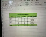 Tabela w Excelu pokazuje uzupełnienie zapasów w sklepie zoologicznym. Widać kolumny z liczbą zwierząt, pożądaną ilością, zrealizowaną i procentem realizacji. W komórkach z zerową realizacją występuje błąd #DIV/0!, typowy dla dzielenia przez zero w Excelu.