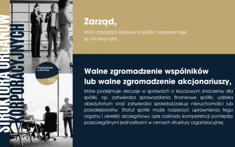 Struktura organów korporacyjnych: zarząd i walne zgromadzenie. Biznesmeni dyskutują, omawiając ład korporacyjny.