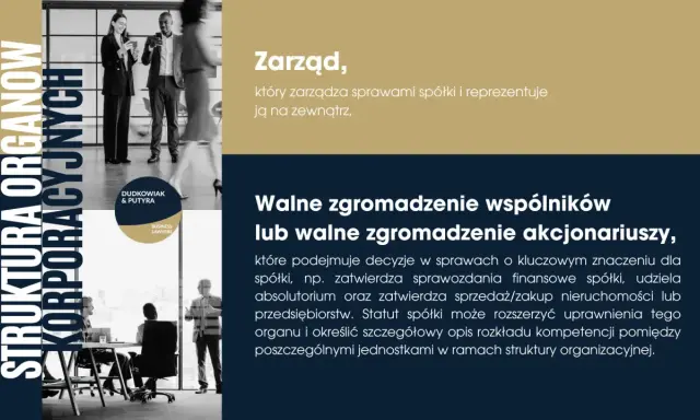 Struktura organów korporacyjnych: zarząd i walne zgromadzenie. Biznesmeni dyskutują, omawiając ład korporacyjny.