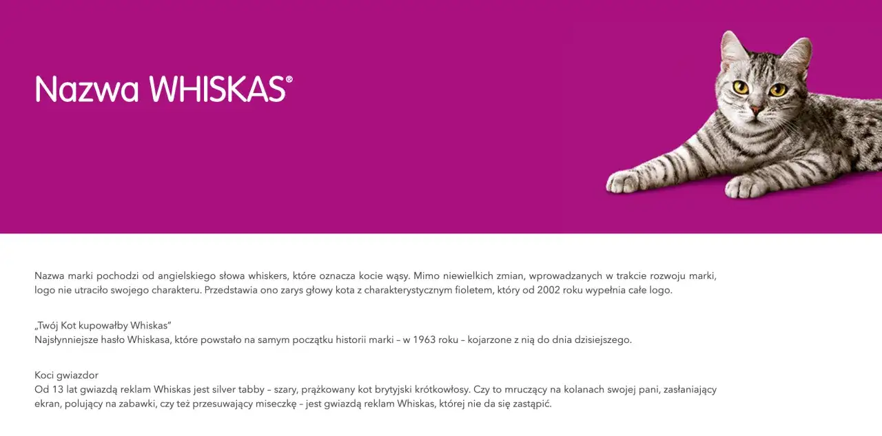 Srebrzysty kot brytyjski krótkowłosy, gwiazda reklam Whiskas, towarzyszy nam od lat, przypominając o znanych hasłach promocyjnych marki.